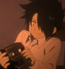 ray tpn